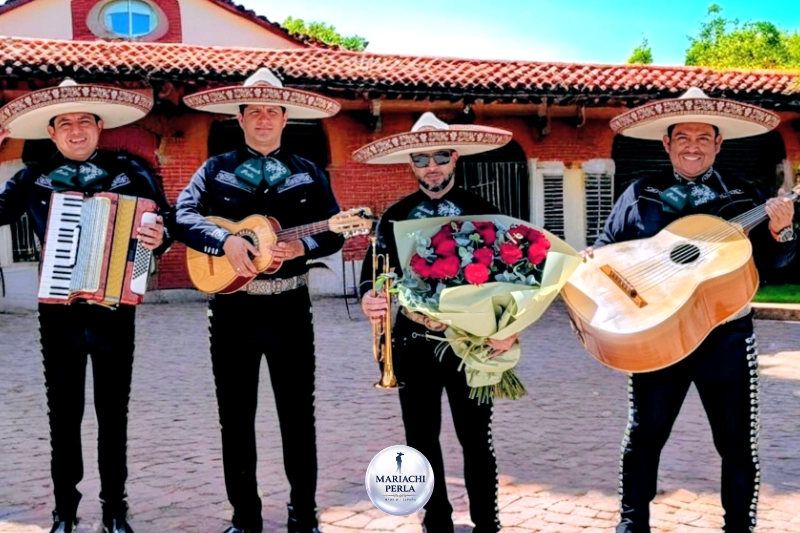 Mariachis a domicilio en Fuencarral Madrid - Espectáculos de gala en urbanizaciones